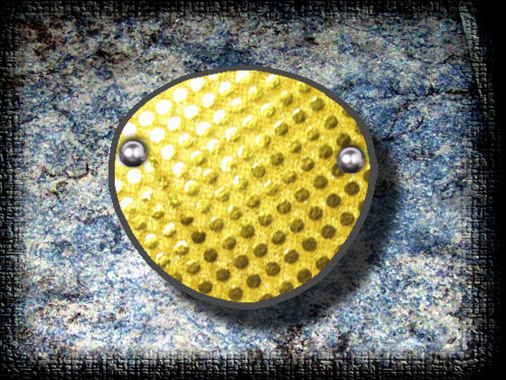 RB 44 Yellow Gold Eye Patch