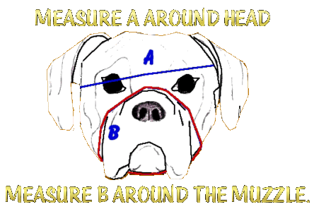 dog head for muzzle instructions